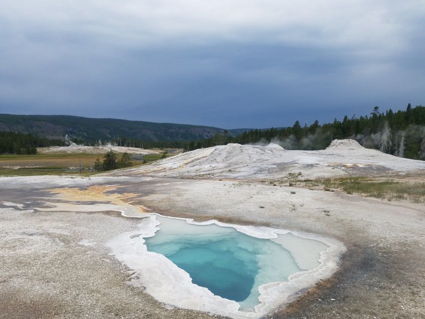 Yellowstone: Upper Geyser Basin Guided and Audio Tour - Customer Reviews