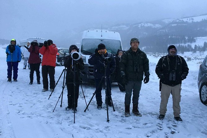 Yellowstone Winter Wildlife 4-Day Tour  - Gardiner - Additional Tour Information