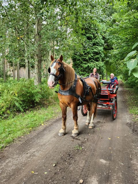 York: Private Horse-Drawn Carriage Ride and Afternoon Tea - Last Words