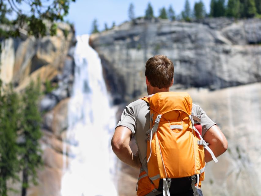 Yosemite National Park: Self-Guided GPS Driving Tour - Mariposa Grove Encounter