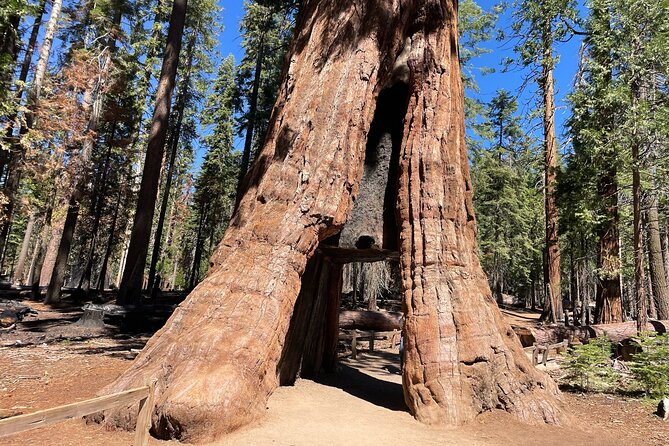 Yosemite National Park & Sequoias Private Tour From San Francisco - Support and Additional Information