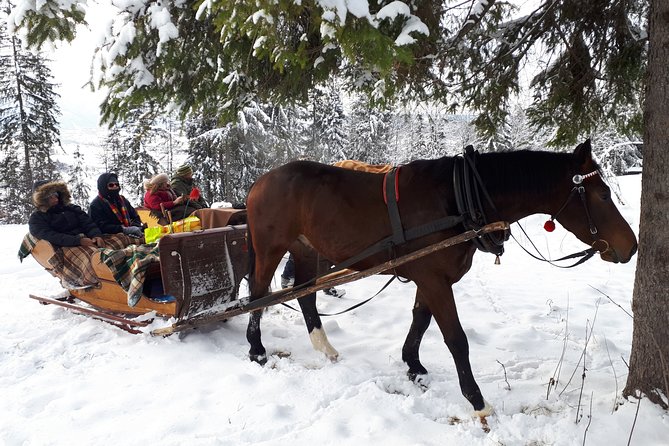 Zakopane and Horse Sleigh Ride in the Countryside, Private Tour From Krakow - Additional Details