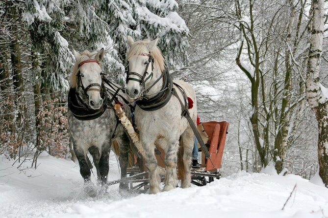 Zakopane & Sleigh Ride With Bonfire - Group Tour From Kraków - Customer Reviews