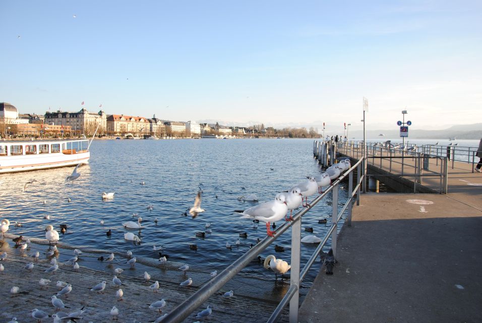 Zurich: 360 City Walk Including Hidden Spots - Location and Reviews