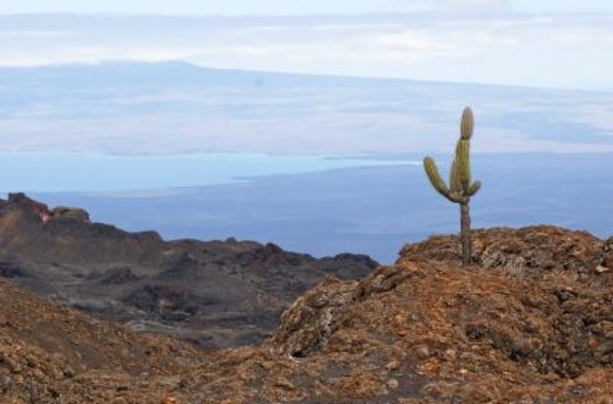 5-Day Small Group Galapagos Multisport: Biking, Hiking, and Snorkeling - Key Points