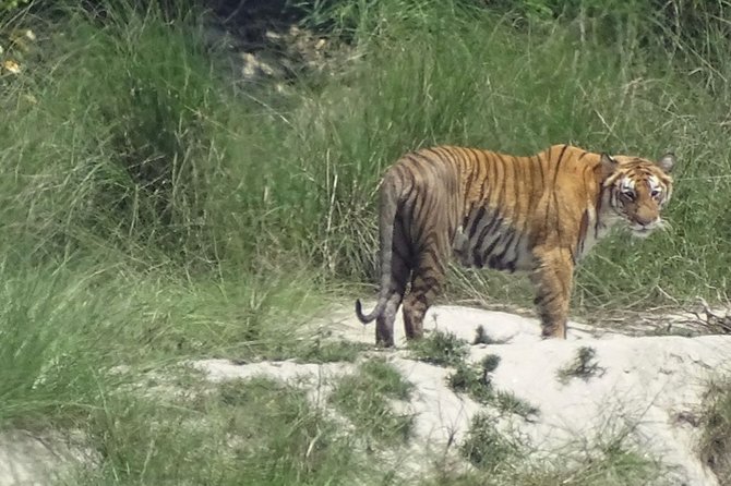 5 Days Bardia National Park Tour With Palpa Overnight Stay - Key Points