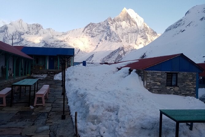 5 Days Very Short Annapurna Base Camp Trek From Pokhara Nepal - Trek Itinerary Overview