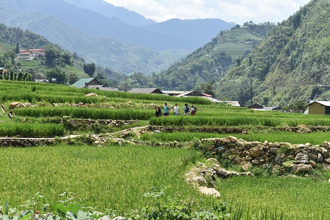 1-Day Private Trekking in Sapa Through Terraces Rice Fields - Culinary Delights in Sapa