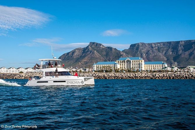 1 Hour Coastal Catamaran Cruise From Cape Town - Traveler Feedback