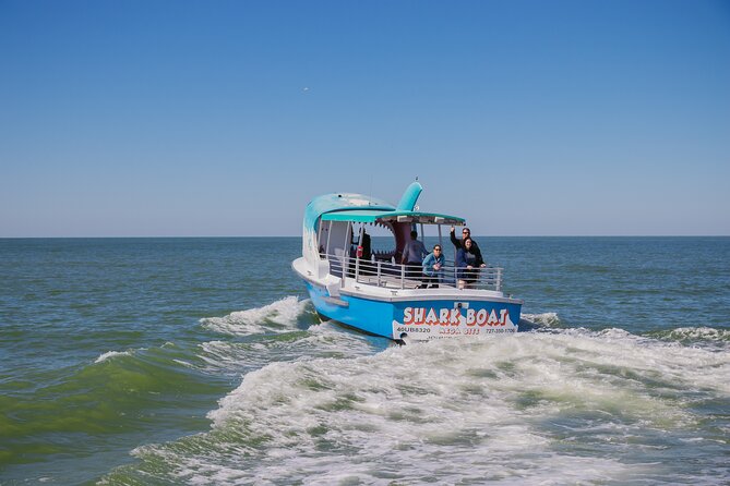 1-Hour Dolphin Sightseeing Adventure Cruise From Madeira Beach - Directions to Meeting Point