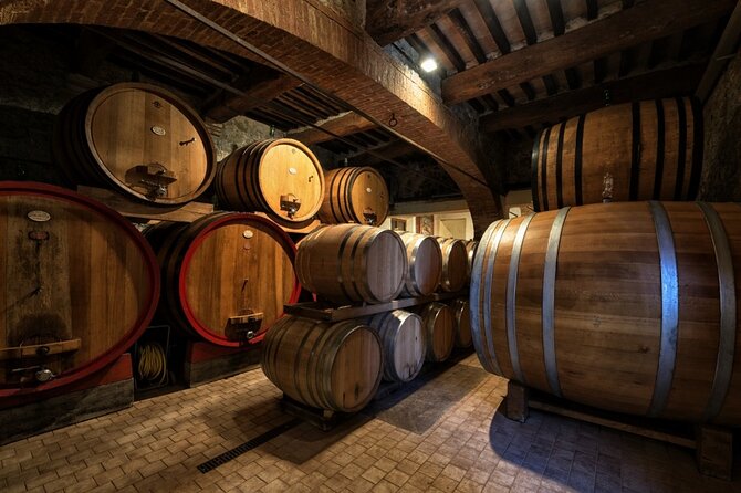 1-Hour Experience With Brunello. Visit to the Vineyard and Cellar - Experience Highlights