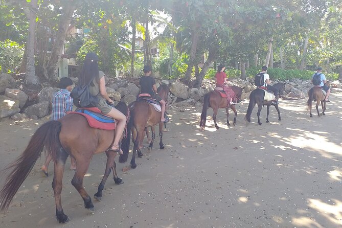 1 Hour Horse Riding Tour On The Beach Krabi - Common questions