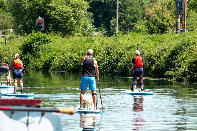 1-Hour Paddle Board on Southampton - Instructor Assistance