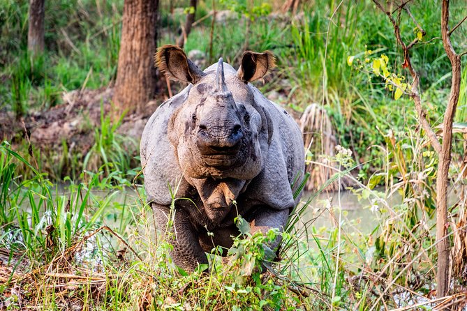 10 Days An Adventurous Nepal Trip - Kathmandu ,Pokhara and Chitwan - Day 6: Trekking in Annapurna Region