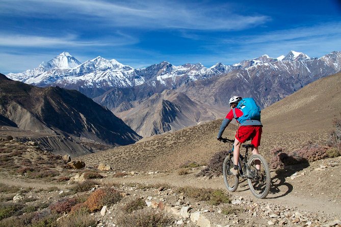 10 Days Himalaya Downhill Mountain Biking & Homestay - Accommodations and Meals