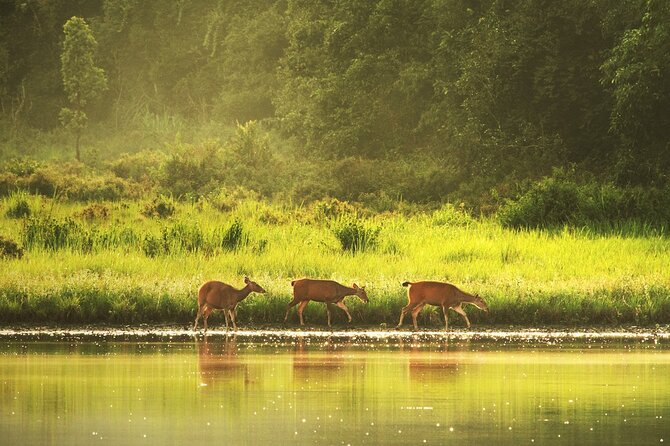 10 Hours Private Hiking in Khao Yai National Park From Bangkok - Additional Information and Terms