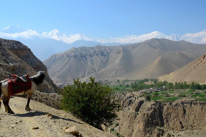 18 Days Upper Mustang Tiji Festival Trek (Music, Dance, Cultures) - Local Traditions