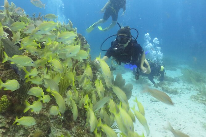 1st Life Experience Scuba Diving in Cancun FREE Photos/Videos - Additional Information