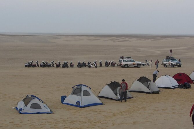 2 Day Bahariya Oasis White Desert Tour - Accommodation and Meals