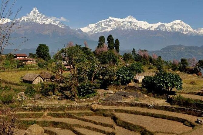 2 Day Private Panchase Trek Tour From Pokhara - Common questions