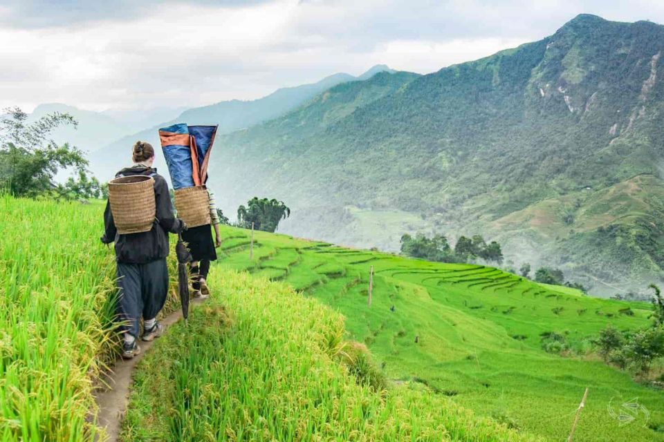 2-Day Trekking Tour in Sa Pa With Local Stay & VIP Cabin Bus - Transportation Information