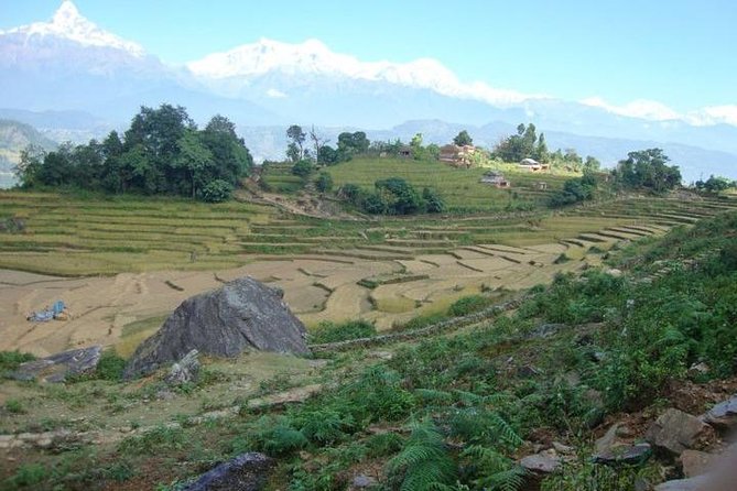 2 Days Panchase Hill Trek From Pokhara - Last Words
