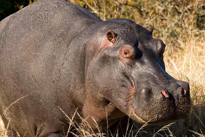 2-Hour Game Drive at the Plettenberg Bay Game Reserve - Directions to the Reserve