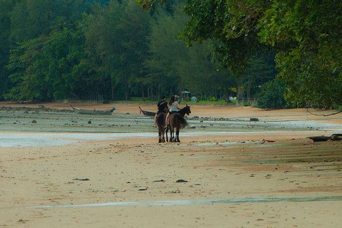 2 Hour Horse Riding Tour On The Beach Krabi - Minimum Requirement