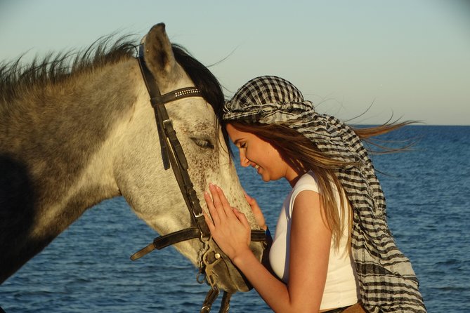 2 Hours Horse Riding 1H on the Sea and 1H in Desert From Hurghada - Booking Information