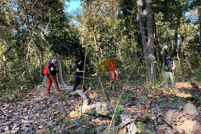 2 Hours Nature Walk in Chitwan National Park - Booking Information and Pricing