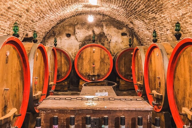 2 Wineries Chianti Wine Tasting & Vineyards Walk Private Tour - Winemaking Process