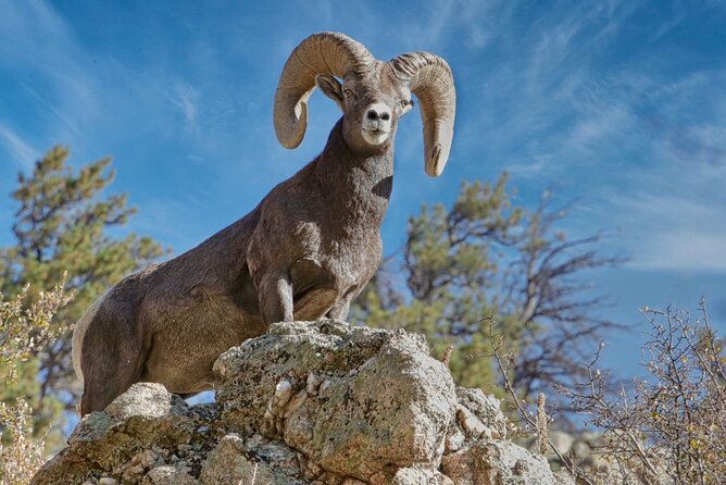 3/4 Day Rocky Mountain NP "Mountain to SkyBear Lake Rd" Tour - RMNPhotographer - End Point Location and Cancellation Policy