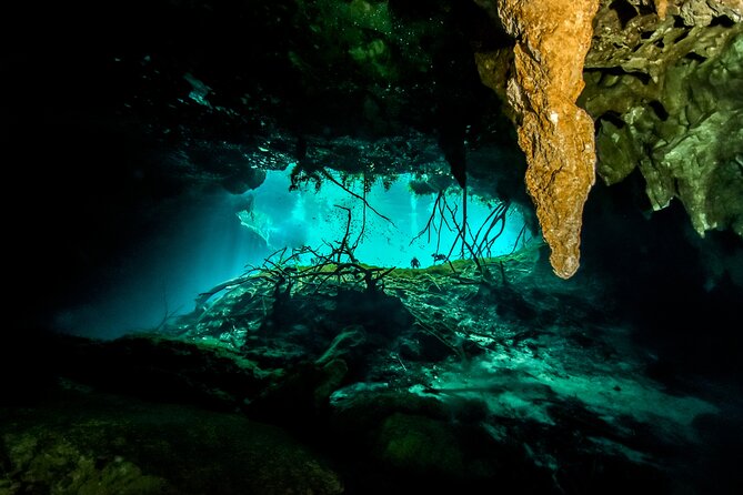 3 Cenote Dives - Casa & Dos Ojos - Last Words