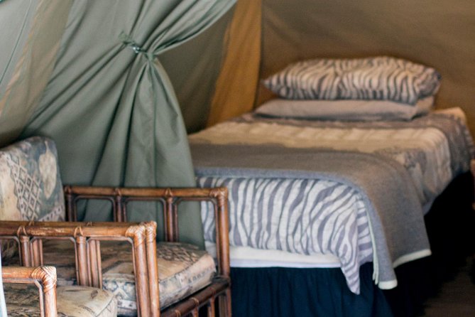 3 Day Budget Tent Kruger National Park Safari - Last Words