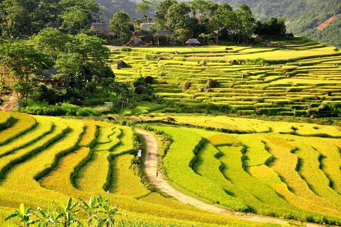 3-Day Trekking In Pu Luong Nature Reserve Private Tour - Group Size Pricing