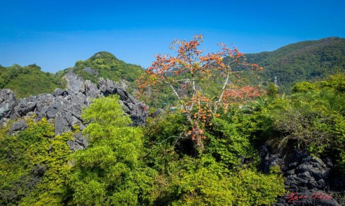 3 Days From Hanoi to Cat Ba National Park & Lan Ha Bay Kayak - Last Words