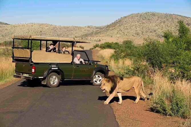 3-Hour Scheduled Safari Game Drive in Pilanesberg National Park - Safari Cost Details