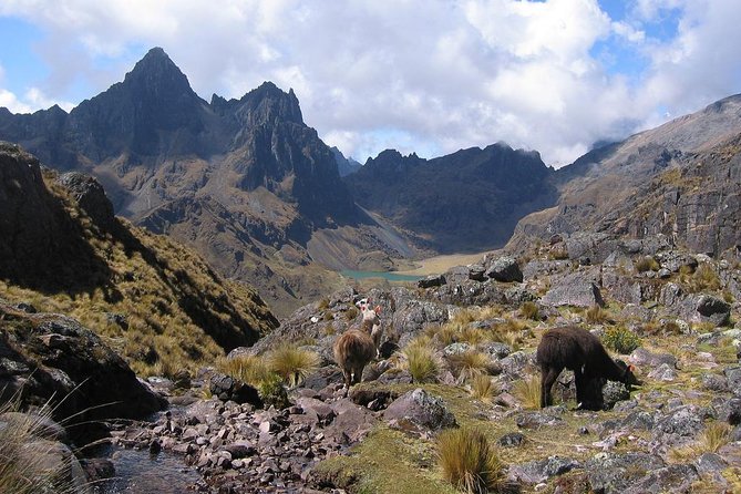4 Day - Lares Trek to Machu Picchu - Group Service - Trekking Tips