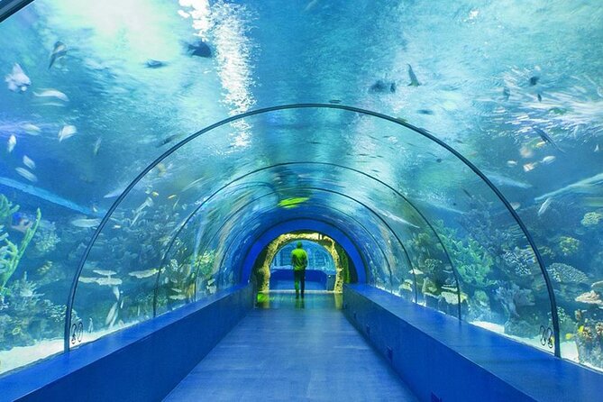 4-Hour Guided Antalya Aquarium Tour - Tour Booking