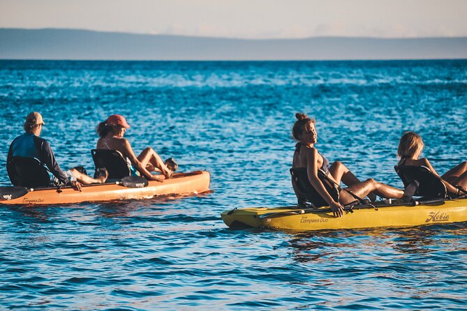 4 Hour Private Custom Kayak Tour Lahaina - Last Words