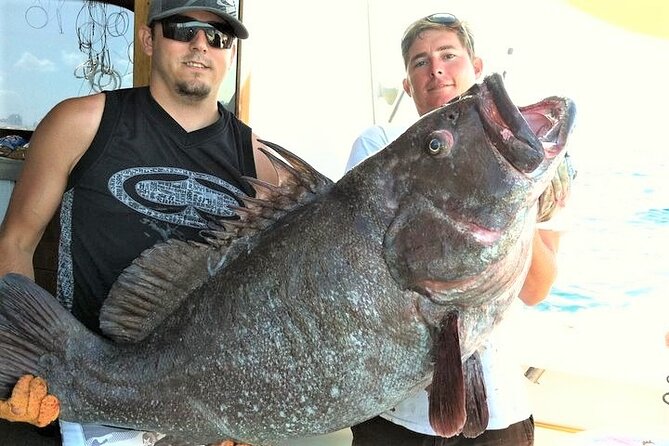 4-Hour Shared Big Game Deep Sea Fishing Charter in Fort Lauderdale - Target Fish Species