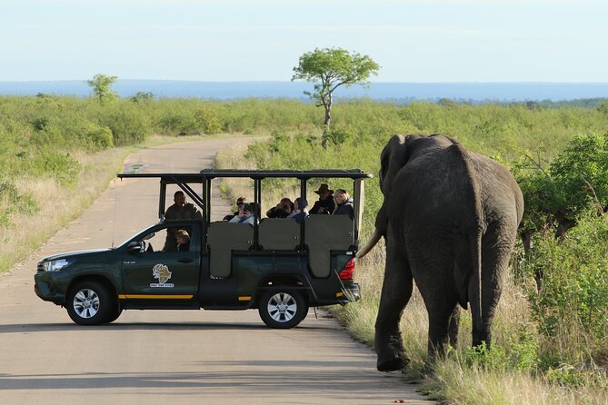 5 Day-Kruger National Park Safari From Kruger Int. Airport (Kmi), Panorama Route - Common questions