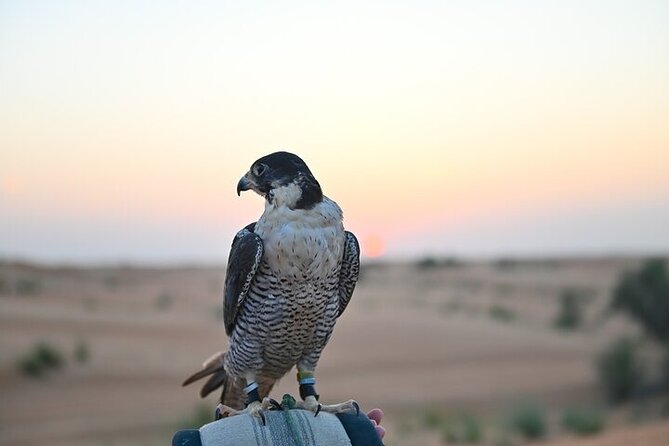 5 Hours Breakfast With Bedouin in Dubai Desert - Cancellation Policy