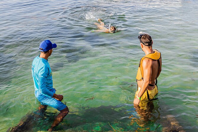 5-In-1 Cancun Snorkeling Tour:Swim With Turtles, Reef, Musa,Shipwreck and Cenote - Directions for Booking and Enjoyment