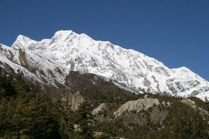 7 Days Annapurna Base Camp Trek From Pokhara - Safety and Health Precautions