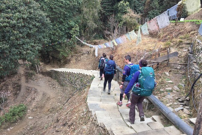 8 Days Annapurna Panorama Trek - Common questions