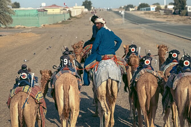 90 Minutes Guided Cultural Camel Riding in Dubai - Last Words