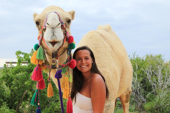 A Half-Day, Camelback Safari and ATV Ride Combo Tour  - Cabo San Lucas - Additional Details