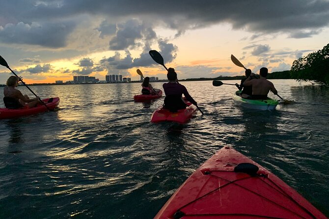 A Private Half-Day Kayaking Experience in Nichupté Lagoon  - Cancun - Seamless Return and End Point Logistics