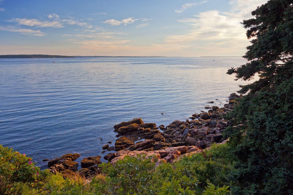 Acadia: Mount Desert Island Self-Guided Driving Tour - Additional Information